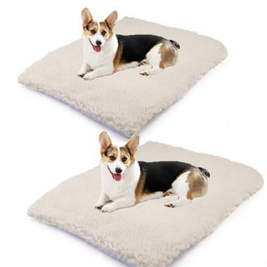 Self heating shop dog bed